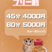 🌟フリー割イベント実施中🌟