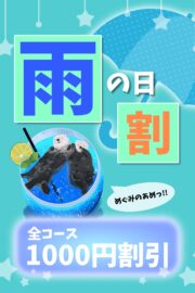 ☔️雨割☔️