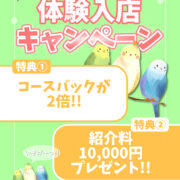 【🚨要注目🚨】応募するならゼッタイ今!!!!体験入店キャンペーン開催🌟