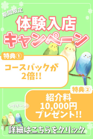 【🚨要注目🚨】応募するならゼッタイ今!!!!体験入店キャンペーン開催🌟